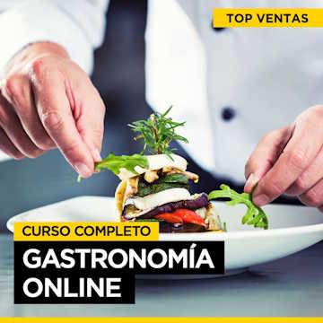 Gastronomía Online 7 Cursos Incluídos