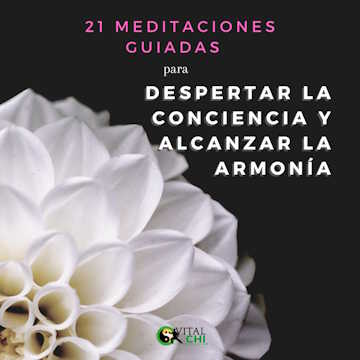 Curso de meditaciones guiadas