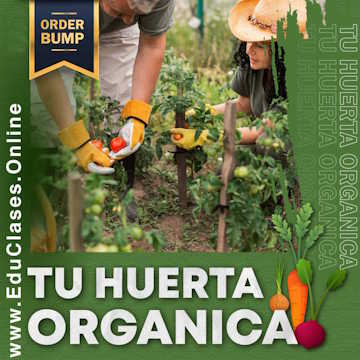 Curso online: Tu Huerta Orgánica